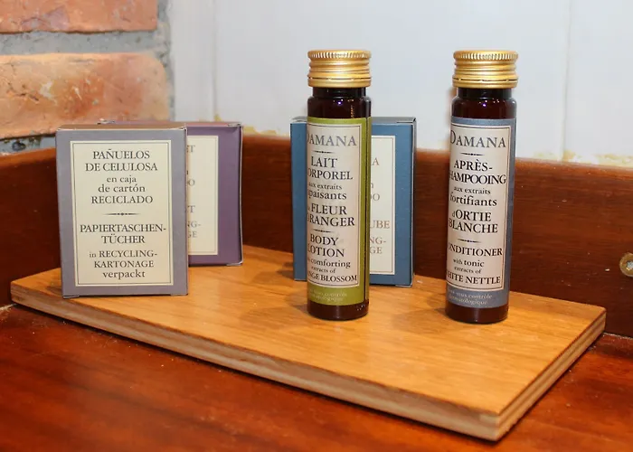 Hotell Snö De Sallent 4